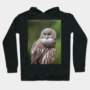 Barking Owl, Australian Birdlife Hoodie